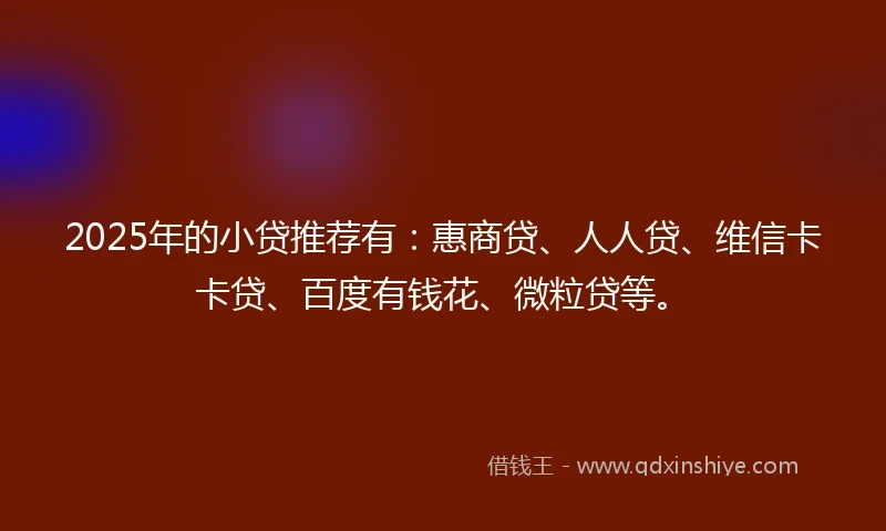 2025年的小贷推荐有：惠商贷、人人贷、维信卡卡贷、百度有钱花、微粒贷等。