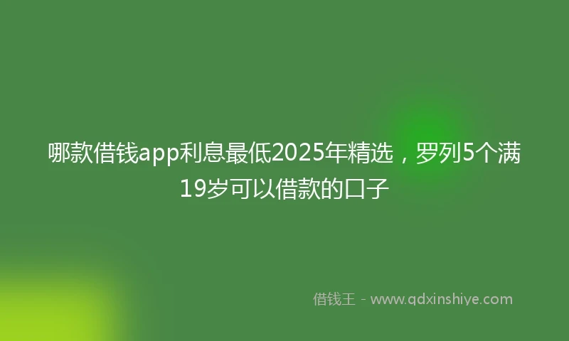 哪款借钱app利息最低2025年精选，罗列5个满19岁可以借款的口子