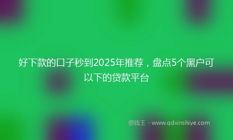 好下款的口子秒到2025年推荐，盘点5个黑户可以下的贷款平台