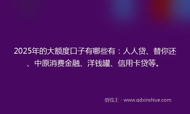 2025年的大额度口子有哪些有：人人贷、替你还、中原消费金融、洋钱罐、信用卡贷等。