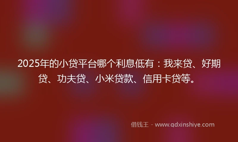 2025年的小贷平台哪个利息低有：我来贷、好期贷、功夫贷、小米贷款、信用卡贷等。