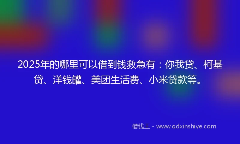 2025年的哪里可以借到钱救急有：你我贷、柯基贷、洋钱罐、美团生活费、小米贷款等。
