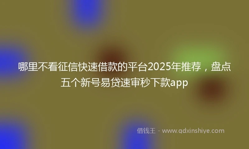 哪里不看征信快速借款的平台2025年推荐，盘点五个新号易贷速审秒下款app