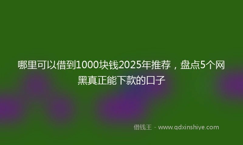 哪里可以借到1000块钱2025年推荐，盘点5个网黑真正能下款的口子