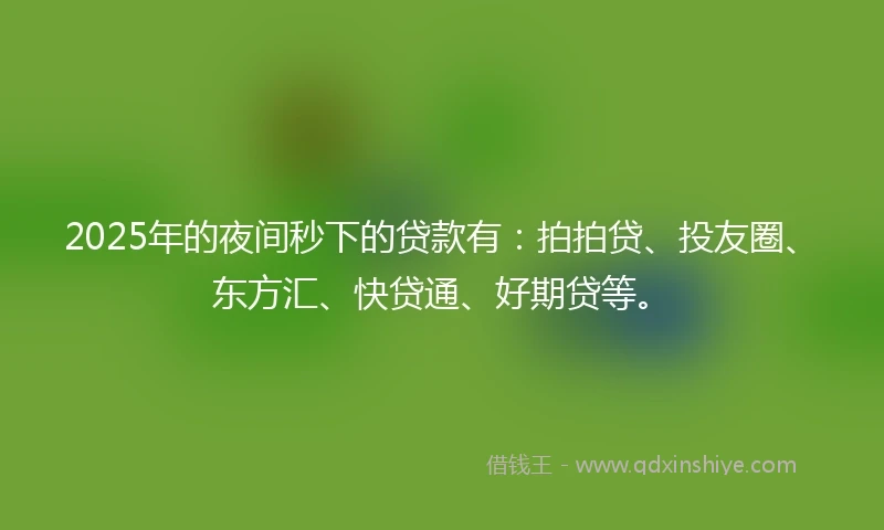2025年的夜间秒下的贷款有：拍拍贷、投友圈、东方汇、快贷通、好期贷等。