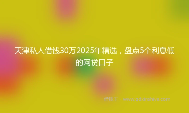 天津私人借钱30万2025年精选，盘点5个利息低的网贷口子