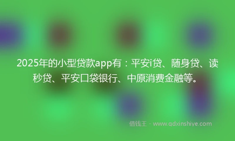 2025年的小型贷款app有：平安i贷、随身贷、读秒贷、平安口袋银行、中原消费金融等。