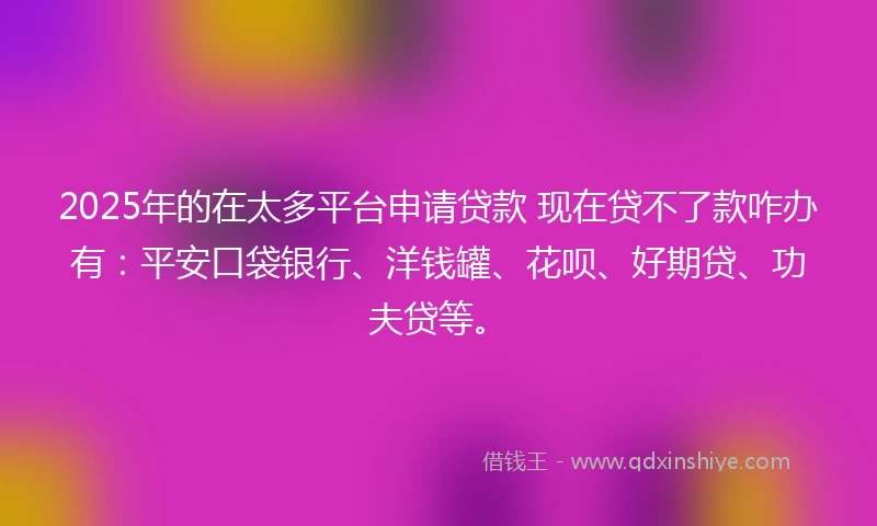 2025年的在太多平台申请贷款 现在贷不了款咋办有：平安口袋银行、洋钱罐、花呗、好期贷、功夫贷等。