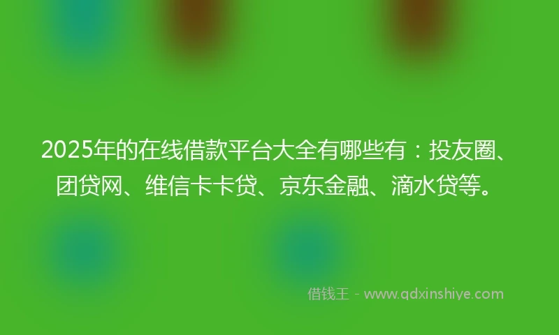 2025年的在线借款平台大全有哪些有：投友圈、团贷网、维信卡卡贷、京东金融、滴水贷等。