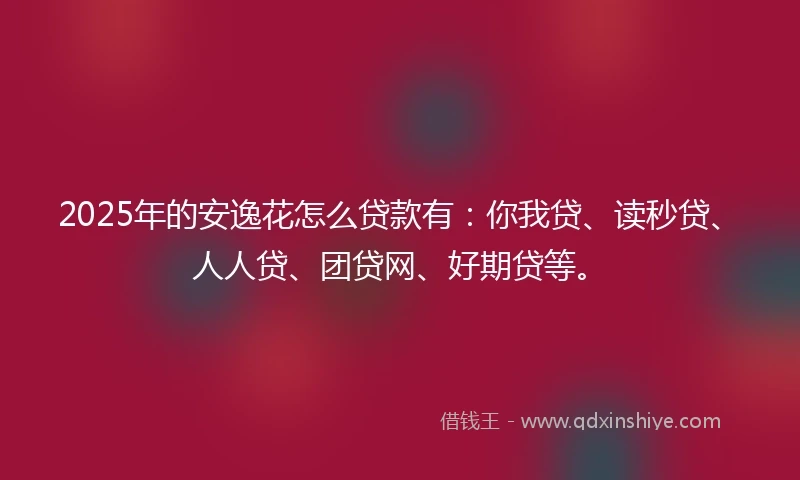 2025年的安逸花怎么贷款有：你我贷、读秒贷、人人贷、团贷网、好期贷等。