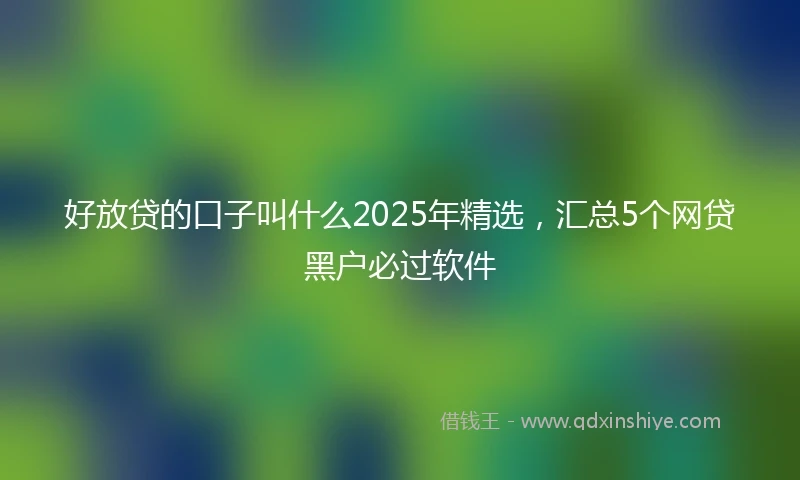 好放贷的口子叫什么2025年精选，汇总5个网贷黑户必过软件