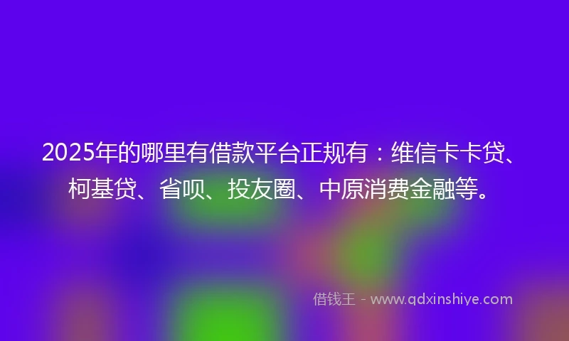 2025年的哪里有借款平台正规有：维信卡卡贷、柯基贷、省呗、投友圈、中原消费金融等。