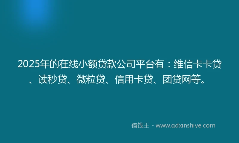 2025年的在线小额贷款公司平台有:维信卡卡贷、读秒贷、微粒贷、信用卡贷、团贷网等。