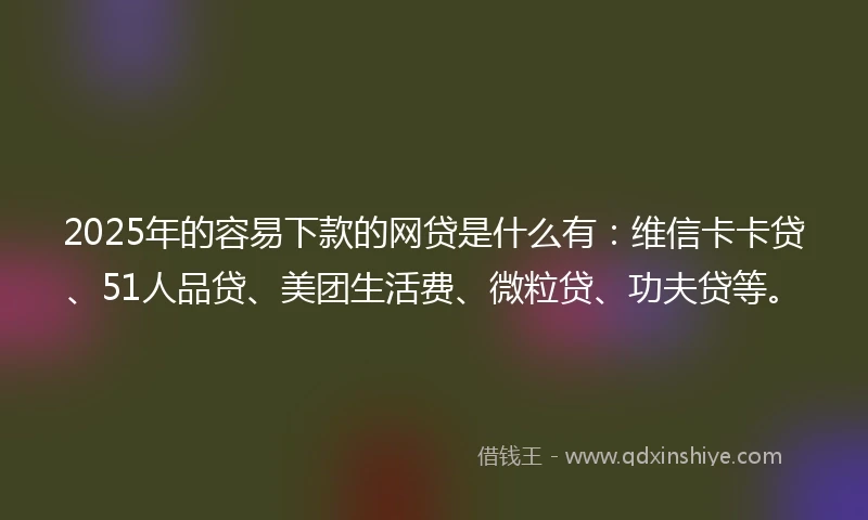 2025年的容易下款的网贷是什么有：维信卡卡贷、51人品贷、美团生活费、微粒贷、功夫贷等。