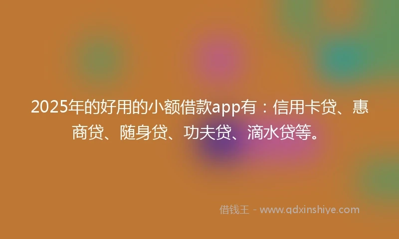 2025年的好用的小额借款app有：信用卡贷、惠商贷、随身贷、功夫贷、滴水贷等。