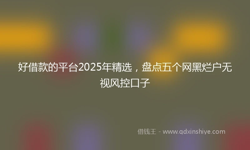 好借款的平台2025年精选，盘点五个网黑烂户无视风控口子