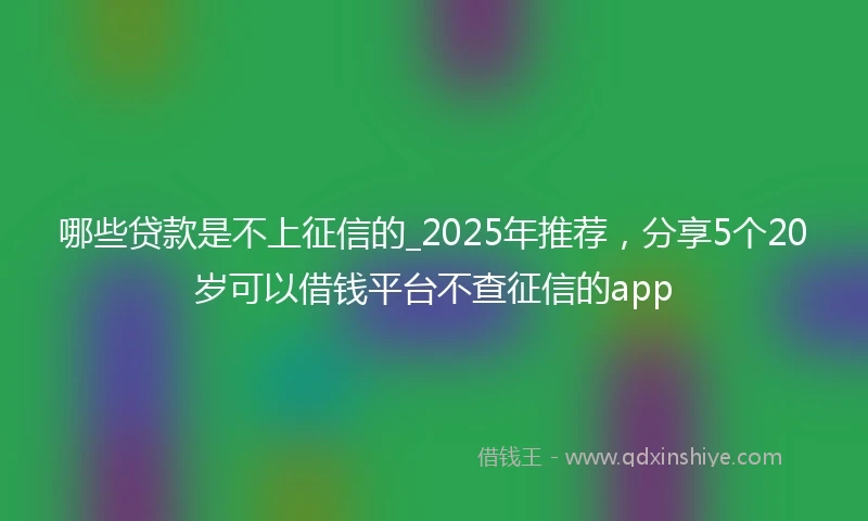 哪些贷款是不上征信的_2025年推荐，分享5个20岁可以借钱平台不查征信的app
