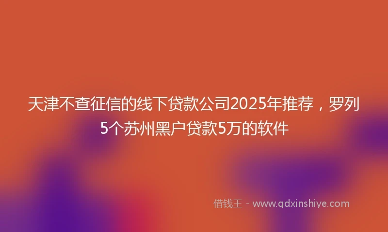 天津不查征信的线下贷款公司2025年推荐，罗列5个苏州黑户贷款5万的软件