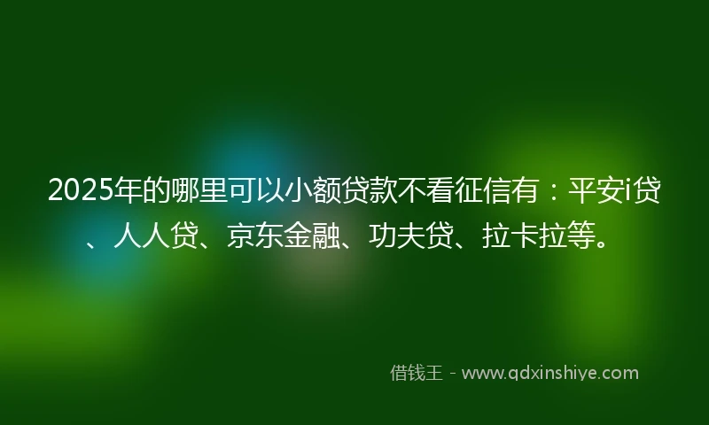 2025年的哪里可以小额贷款不看征信有：平安i贷、人人贷、京东金融、功夫贷、拉卡拉等。