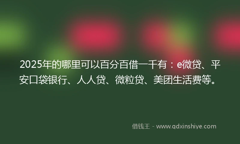 2025年的哪里可以百分百借一千有：e微贷、平安口袋银行、人人贷、微粒贷、美团生活费等。