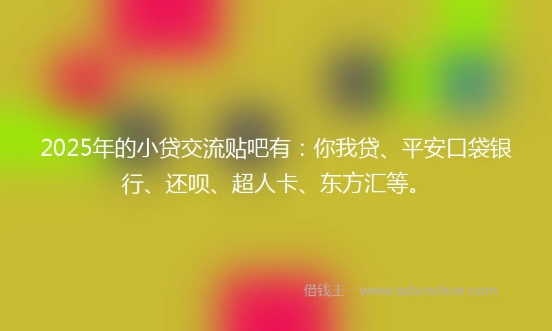 2025年的小贷交流贴吧有：你我贷、平安口袋银行、还呗、超人卡、东方汇等。