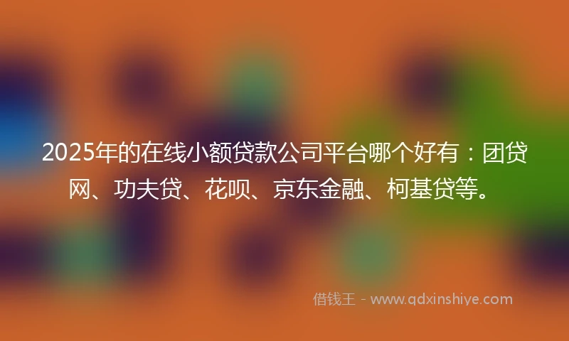 2025年的在线小额贷款公司平台哪个好有：团贷网、功夫贷、花呗、京东金融、柯基贷等。
