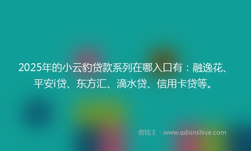 2025年的小云豹贷款系列在哪入口有：融逸花、平安i贷、东方汇、滴水贷、信用卡贷等。