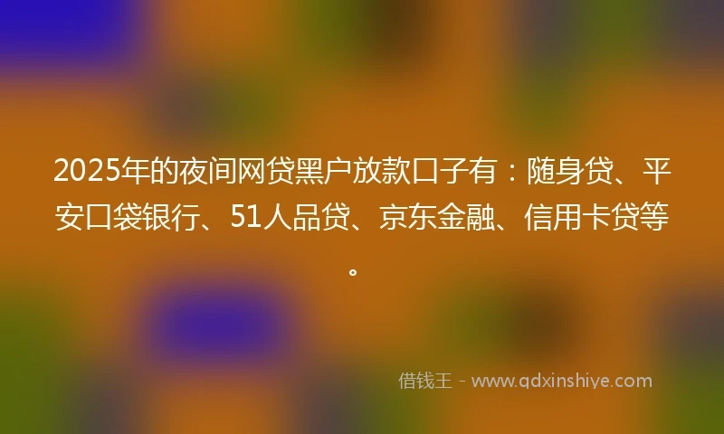 2025年的夜间网贷黑户放款口子有：随身贷、平安口袋银行、51人品贷、京东金融、信用卡贷等。