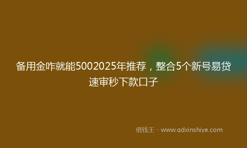备用金咋就能5002025年推荐，整合5个新号易贷速审秒下款口子