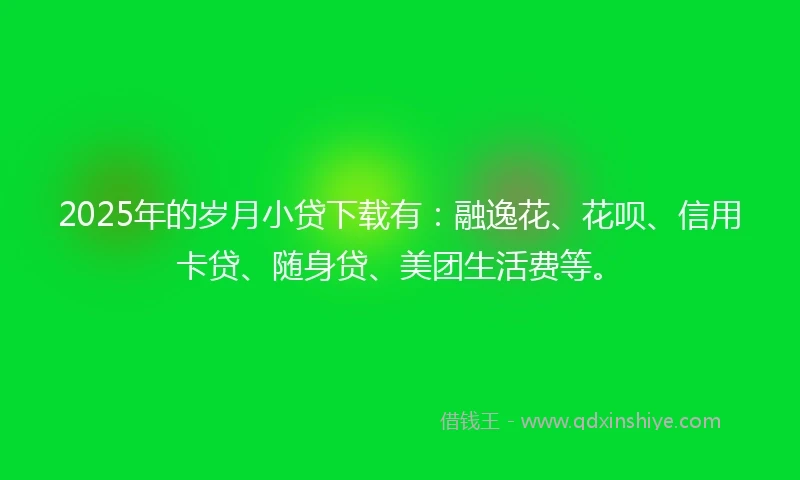 2025年的岁月小贷下载有：融逸花、花呗、信用卡贷、随身贷、美团生活费等。