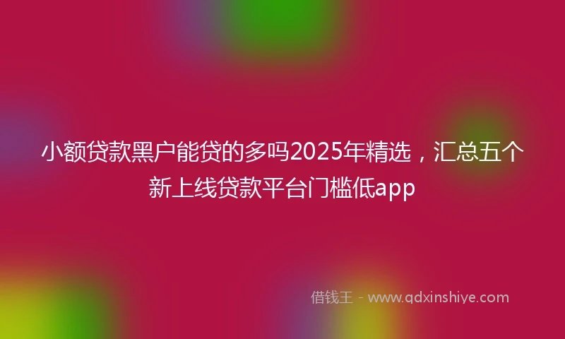 小额贷款黑户能贷的多吗2025年精选，汇总五个新上线贷款平台门槛低app