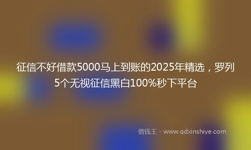 征信不好借款5000马上到账的2025年精选，罗列5个无视征信黑白100%秒下平台