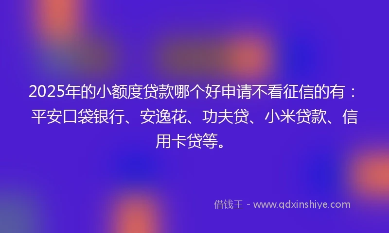 2025年的小额度贷款哪个好申请不看征信的有：平安口袋银行、安逸花、功夫贷、小米贷款、信用卡贷等。