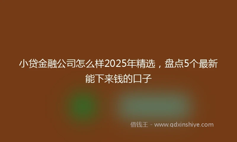 小贷金融公司怎么样2025年精选，盘点5个最新能下来钱的口子