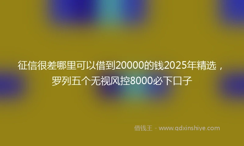 征信很差哪里可以借到20000的钱2025年精选，罗列五个无视风控8000必下口子