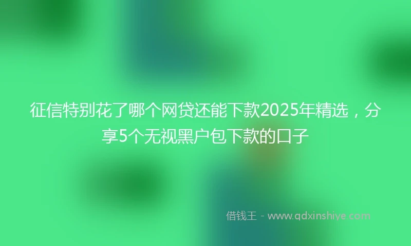 征信特别花了哪个网贷还能下款2025年精选，分享5个无视黑户包下款的口子