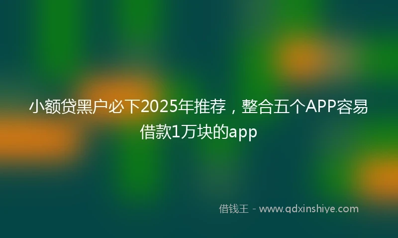 小额贷黑户必下2025年推荐，整合五个APP容易借款1万块的app