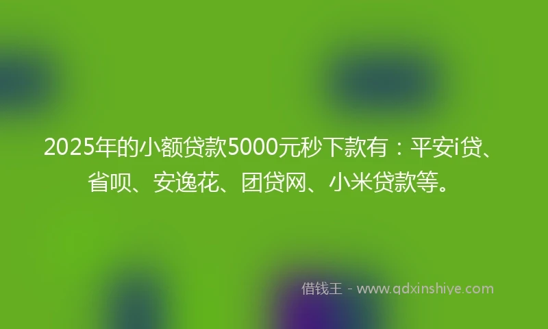 2025年的小额贷款5000元秒下款有：平安i贷、省呗、安逸花、团贷网、小米贷款等。