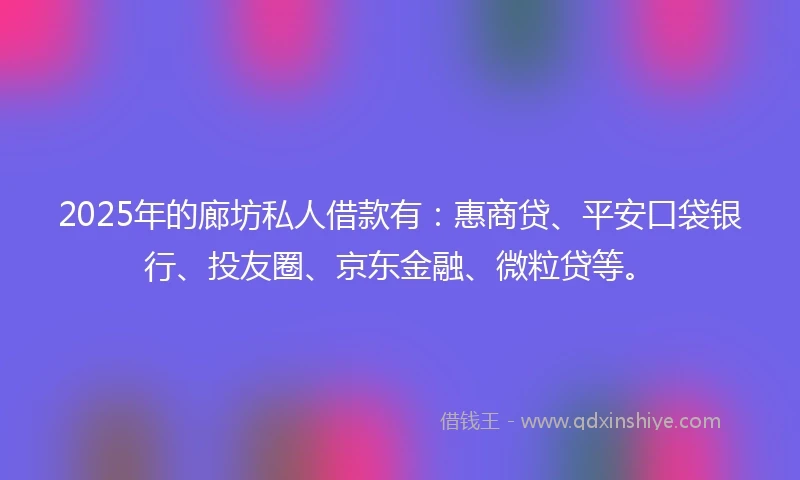2025年的廊坊私人借款有：惠商贷、平安口袋银行、投友圈、京东金融、微粒贷等。