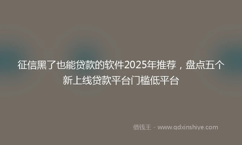 征信黑了也能贷款的软件2025年推荐，盘点五个新上线贷款平台门槛低平台