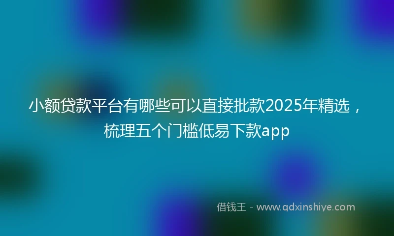 小额贷款平台有哪些可以直接批款2025年精选，梳理五个门槛低易下款app