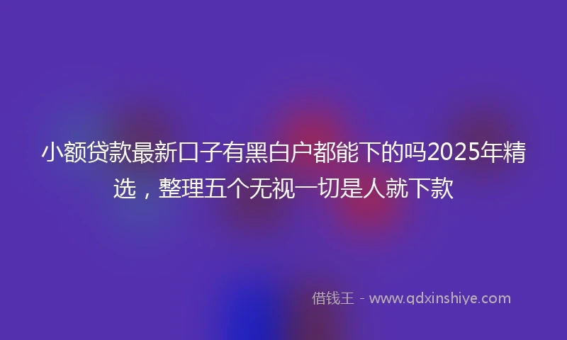 小额贷款最新口子有黑白户都能下的吗2025年精选，整理五个无视一切是人就下款