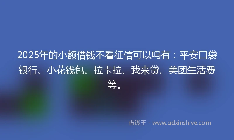 2025年的小额借钱不看征信可以吗有：平安口袋银行、小花钱包、拉卡拉、我来贷、美团生活费等。