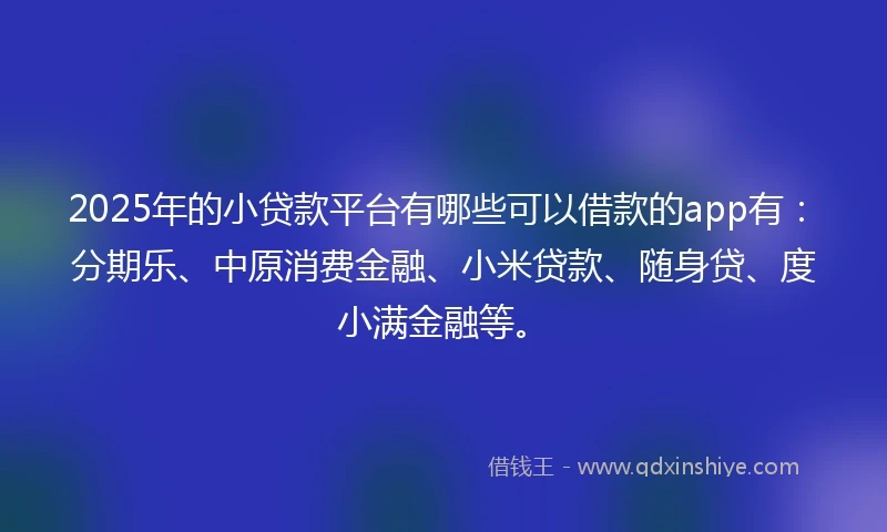 2025年的小贷款平台有哪些可以借款的app有：分期乐、中原消费金融、小米贷款、随身贷、度小满金融等。