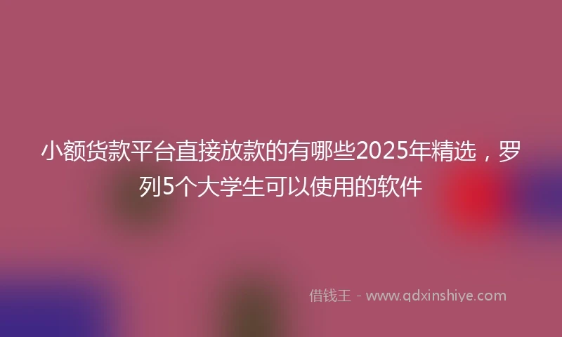 小额货款平台直接放款的有哪些2025年精选，罗列5个大学生可以使用的软件