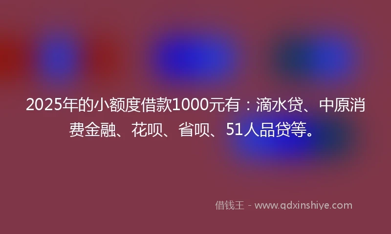 2025年的小额度借款1000元有：滴水贷、中原消费金融、花呗、省呗、51人品贷等。