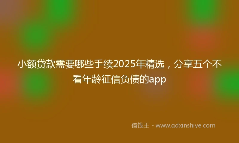 小额贷款需要哪些手续2025年精选，分享五个不看年龄征信负债的app