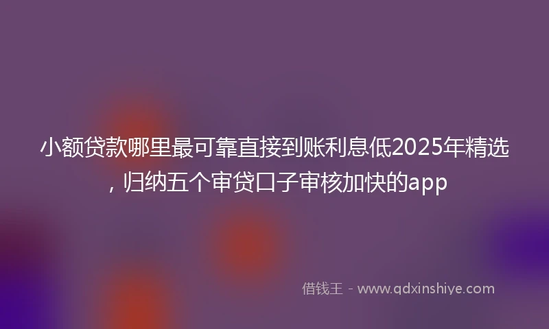小额贷款哪里最可靠直接到账利息低2025年精选，归纳五个审贷口子审核加快的app