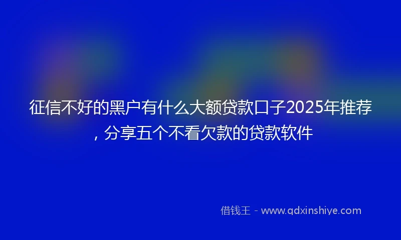 征信不好的黑户有什么大额贷款口子2025年推荐，分享五个不看欠款的贷款软件