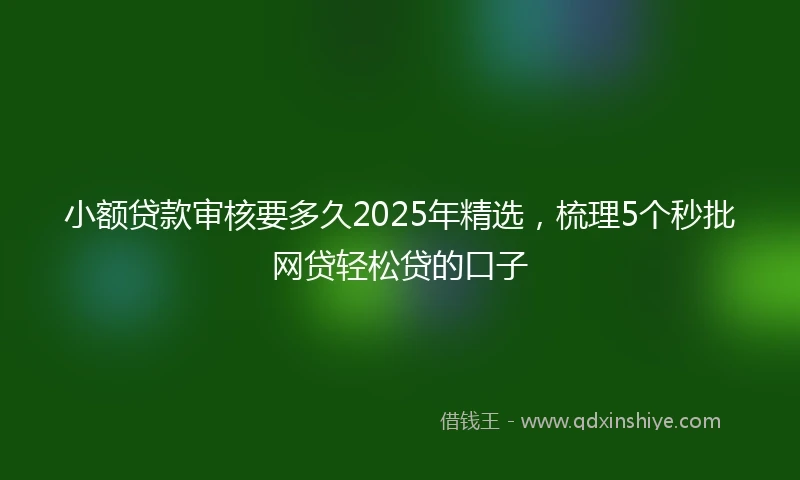 小额贷款审核要多久2025年精选，梳理5个秒批网贷轻松贷的口子